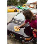 MOTHERS California Gold Auto Detailing 100 g Clay Bar (3-Pack) 07242