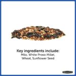 Pennington 20 lb. Wild Bird Seed Food 100542060