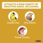 Pennington Premium 10 lb. Thistle Nyjer Bird Seed Food for Finches and Other Wild Birds 100542056