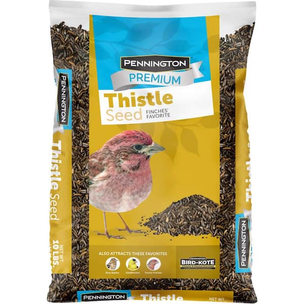 Pennington Premium 10 lb. Thistle Nyjer Bird Seed Food for Finches and Other Wild Birds 100542056