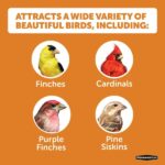 Pennington Premium 10 lb. Wild Finch Bird Seed Food 100542054