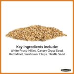 Pennington Premium 10 lb. Wild Finch Bird Seed Food 100542054