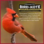 Pennington Premium 11 lb. Black Oil Sunflower Bird Seed Food Bucket 100542135