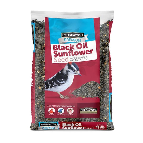 Pennington Premium 40 lb. Black Oil Sunflower Bird Seed Food 100542058
