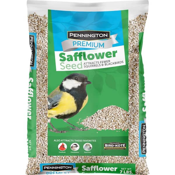 Pennington Premium 7 lb. Safflower Bird Seed Food 100542051