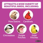 Pennington Ultimate 14 lb. Nut and Fruit Bird Seed Food Blend 100542065