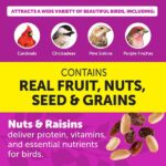 Pennington Ultimate 7 lb. Nut and Fruit Bird Seed Food Blend 100542049