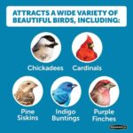 Pennington Ultimate 7 lb. Songbird Blend Bird Seed Food 100542047