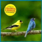 Pennington Ultimate 7 lb. Songbird Blend Bird Seed Food 100542047