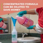 Simple Green 1 Gal. Clean Building Bathroom Cleaner Concentrate 1200000111101