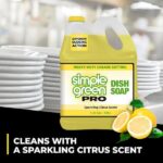 Simple Green 1 gal. Pro Dish Soap 4110100401128