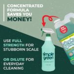 Simple Green 1 Gal. Pro Grade Shower, Tub and Tile Cleaner (2-Pack) 7170101700001
