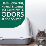 Simple Green 128 oz. Cat Pet Stain and Odor Remover 2000000115312