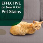 Simple Green 128 oz. Cat Pet Stain and Odor Remover 2000000115312