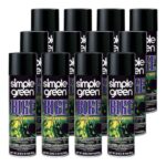 Simple Green 20 oz. Bike Cleaner and Degreaser Aerosol (Case of 12) 0410001213274