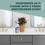 Simple Green 32 oz. Ready-To-Use Bathroom Cleaner 2500000102032