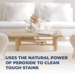 Simple Green 32 oz. Ready-To-Use Carpet Cleaner 0500000101032