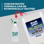 Simple Green 5 Gal. Rig Wash 0100000103005