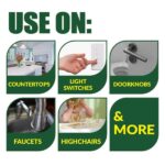 Simple Green Pro 3 Plus 1 Gal. Herbal Scent Antibacterial Cleaner and Disinfectant (2-Pack) 7170103300001