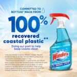 Windex 128 oz. Commercial Original Glass Cleaner Refill. 012207