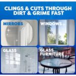 Windex 19 oz. Glass Cleaner Fast Shine Foam, Rainshower Scent 382102